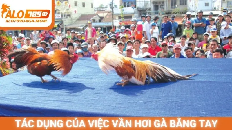 Tác dụng của việc vần hơi gà bằng tay